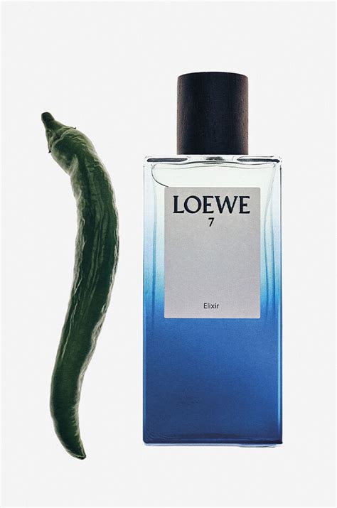 loewe 7 elixir.